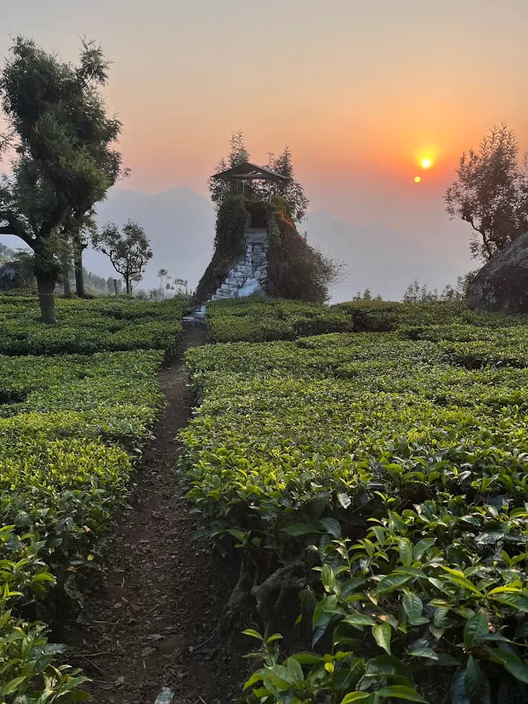 The Colonial Crown image 5