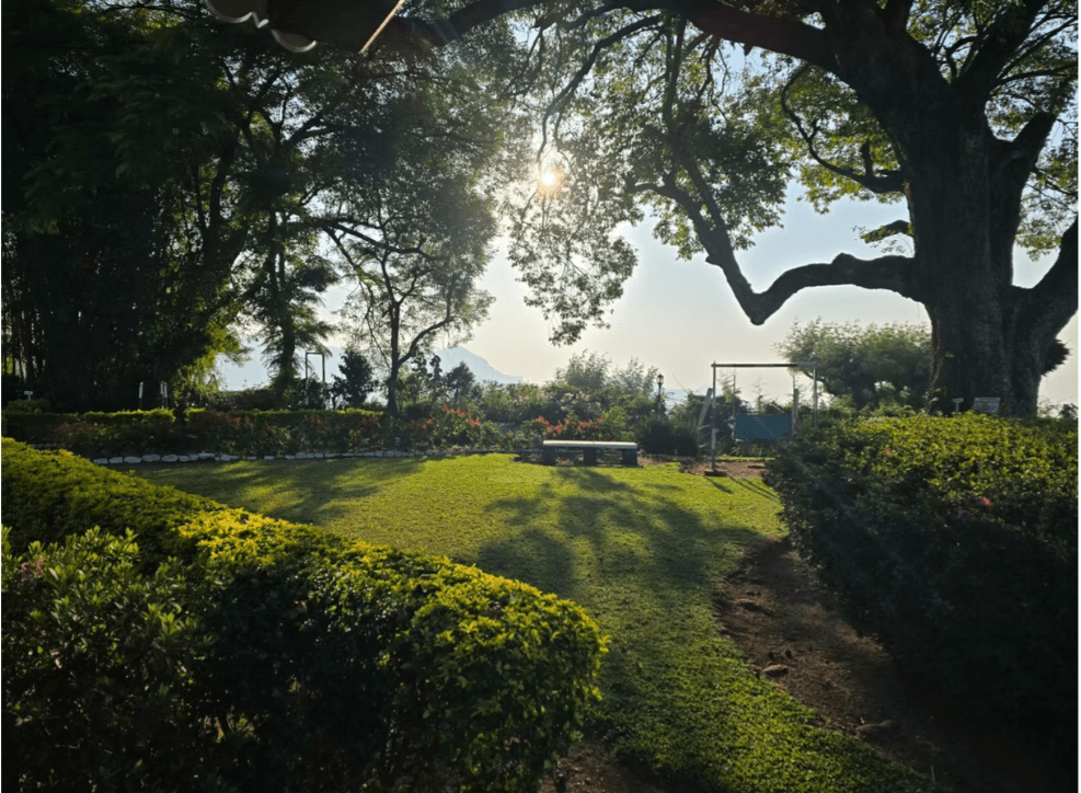 The Colonial Crown image 9