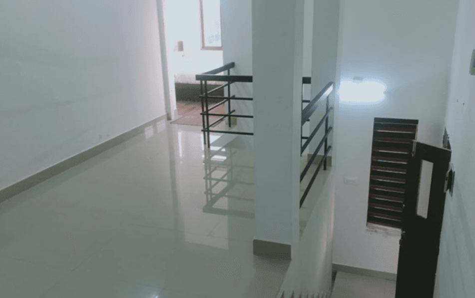 The Wild Whisper image 8