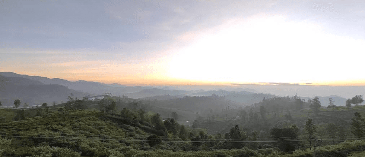 The Sunset Sonata image 3