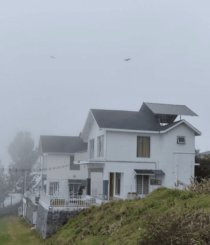 The Sunset Sonata image 5