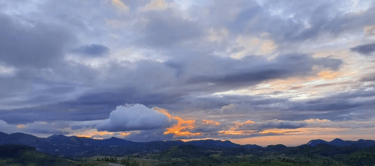 The Sunset Sonata image 8