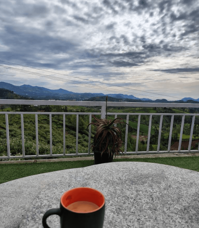 The Sunset Sonata image 9