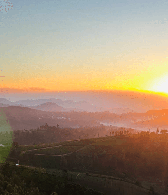 The Sunset Sonata image 24