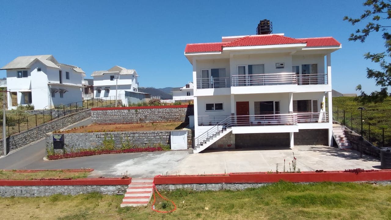 The Monarch's Nest image 4