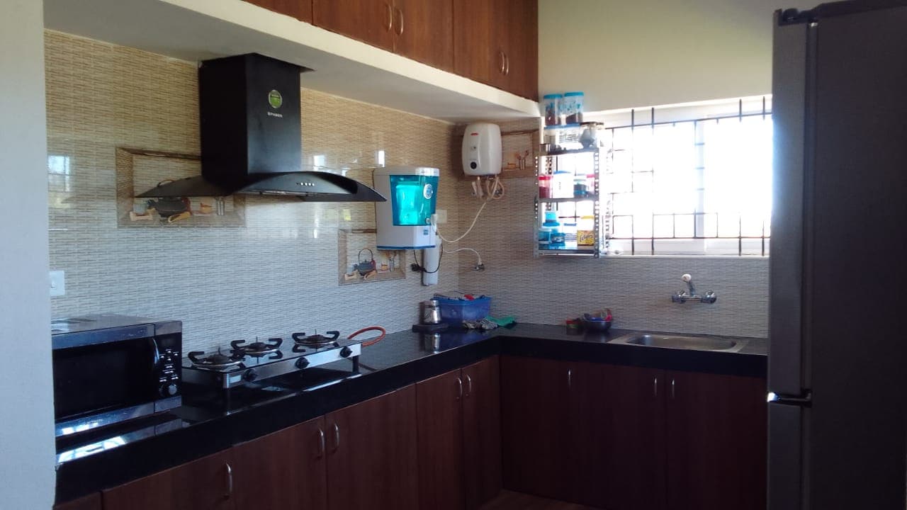 The Monarch's Nest image 6