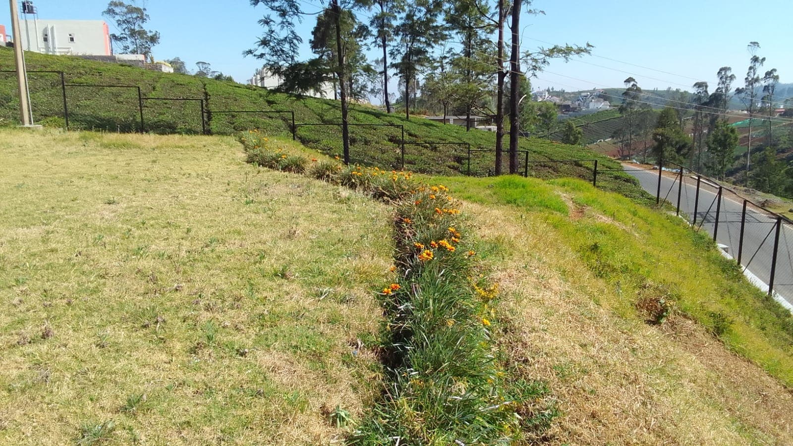 The Monarch's Nest image 14